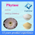 Feed Grade Habio Phytase Enzyme/Phytase Powder Made in China